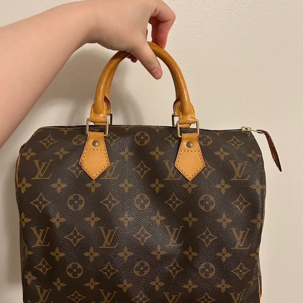 Louis Vuitton Monogram Brown Handbag